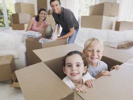 Grovepark Storage introduction with practical space management and organized storage solutions